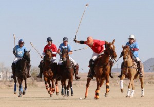 Polo game