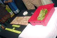 Project Presentation on 01/12/2012