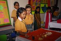 Project Presentation on 01/12/2012