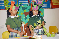 Project Presentation on 01/12/2012