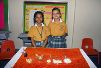 Project Presentation on 01/12/2012