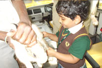 ECC Garden Visit - Playgroup - Daycare -26-11-12
