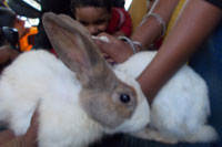 ECC Garden Visit - Playgroup - Daycare -26-11-12