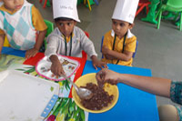 Pre-primary Kichentte Activity - 21-11-12