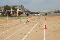 Sport Events - 08-11-12