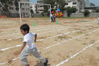 Sport Events - 08-11-12