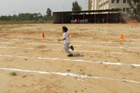 Sport Events - 08-11-12