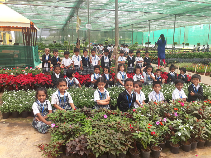 report on field trip to plant nursery